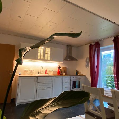 Moderne Ferienwohnung Seeblick Freudenberg  Eksteriør billede
