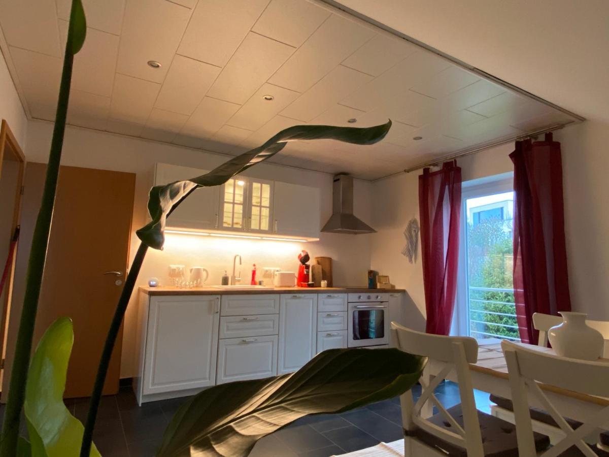 Moderne Ferienwohnung Seeblick Freudenberg  Eksteriør billede
